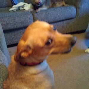 Meet your Posher, Sara